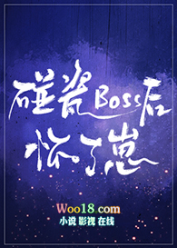 碰瓷boss后怀了崽晋江