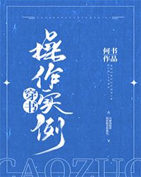 3.《穿书操作实例》作者:何书