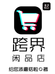 跨界闲品店 小说