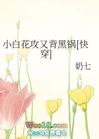 小白花攻又背黑锅快穿晋也是受吗