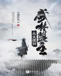 小说从大佬到武林盟主