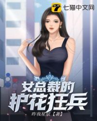 女总裁的护花狂兵昨夜星辰