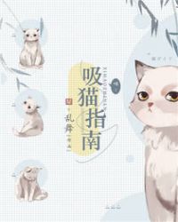 猫饲养指南