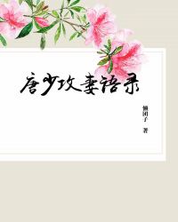 小说唐少的宠妻日常全文