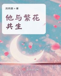 他与繁星同闪烁小说