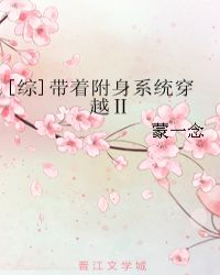 综带着附身系统穿越II