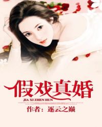 夫人又在闹离婚