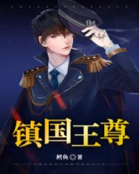 镇国王尊沈飞扬