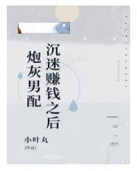 炮灰男配沉迷赚钱之后作者:小叶丸