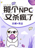 那个npc又杀疯了边巡