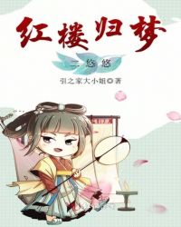 梦回红楼君幻凤