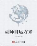 巫师自远方来小说