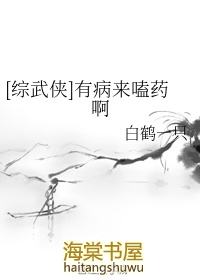 综武侠有病来嗑药啊TXT下载