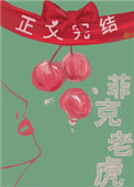 菲克老虎小说