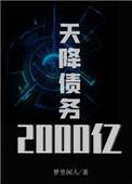 天降债务2000亿 小说113