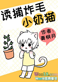 诱捕炸毛小奶猫双洁