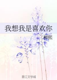 我想我是喜欢你的英文