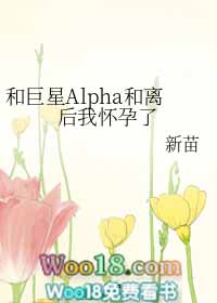 和巨星alpha和离后我怀孕了宝书网