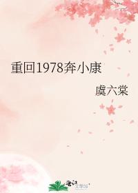 重回1978奔小康下载