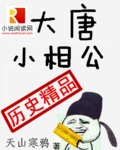 我在大唐当驸马