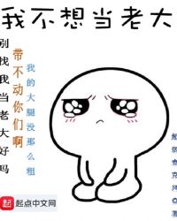 篮球小说我不想当老大