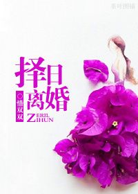 择日离婚免费阅读