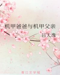 机甲父亲回家吃饭 小说