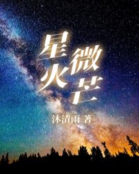 星火微芒小说txt百度网盘