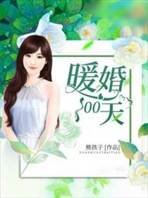 暖婚100天小说结局