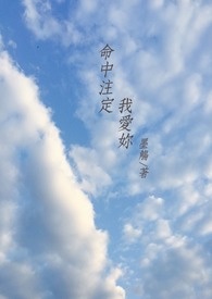 命中注定我爱你短剧