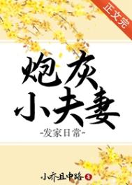 炮灰小夫妻发家日常讲的什么