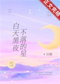 白天黑夜不落的星免费阅读