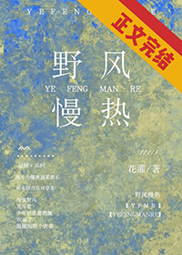 野风慢热小说全文在线阅读